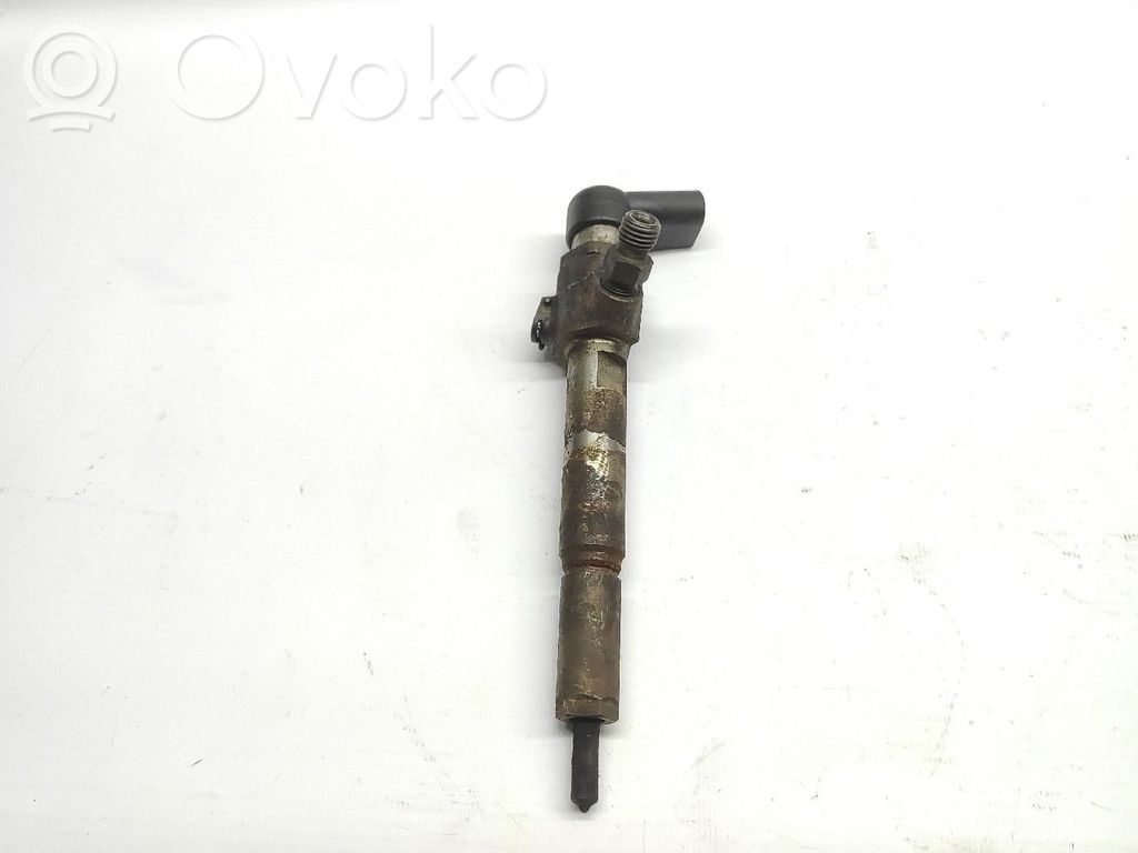 Inyector de combustible   166009445R,1UNIDADE,A2C59506606,H8200294788
