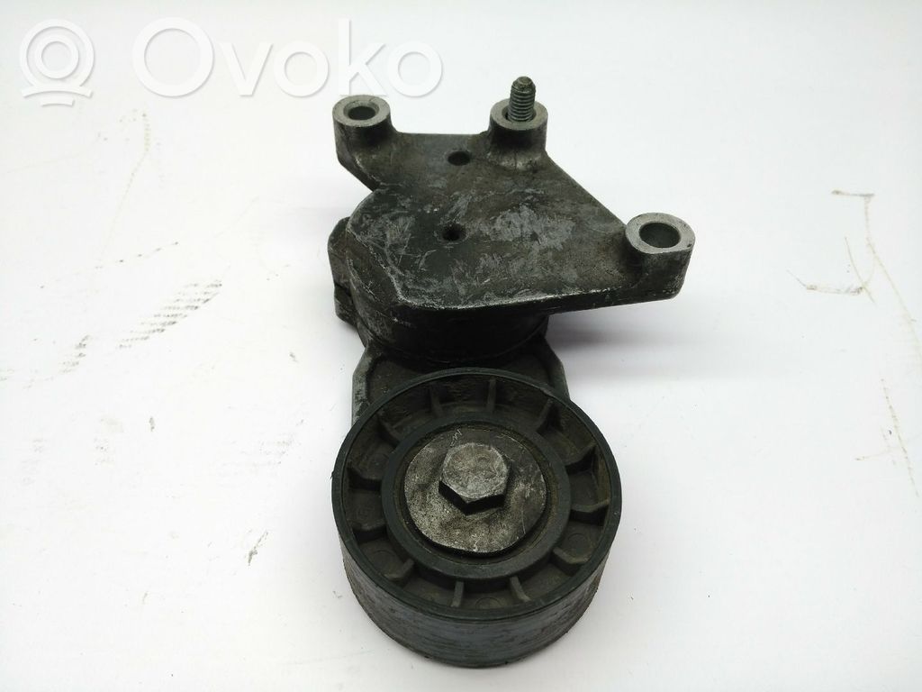 Diržo įtempėjas   TF049F,DAYCO