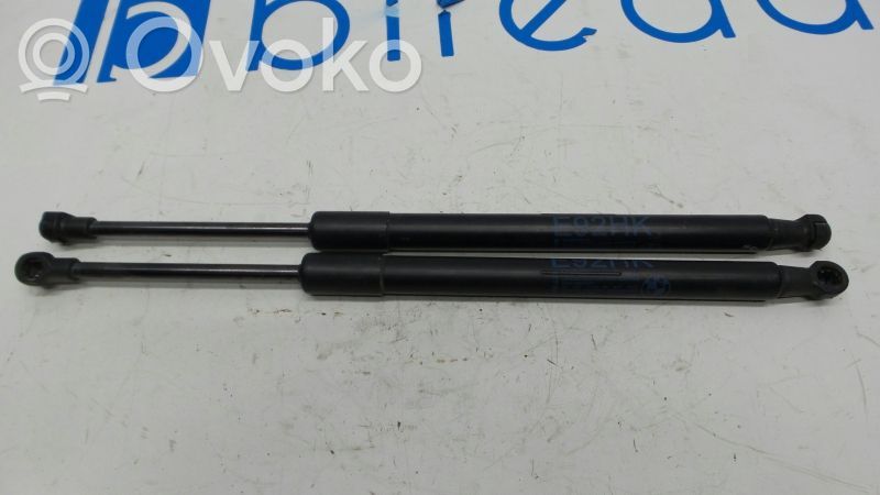 Tailgate/trunk strut/damper   51247129194,320N