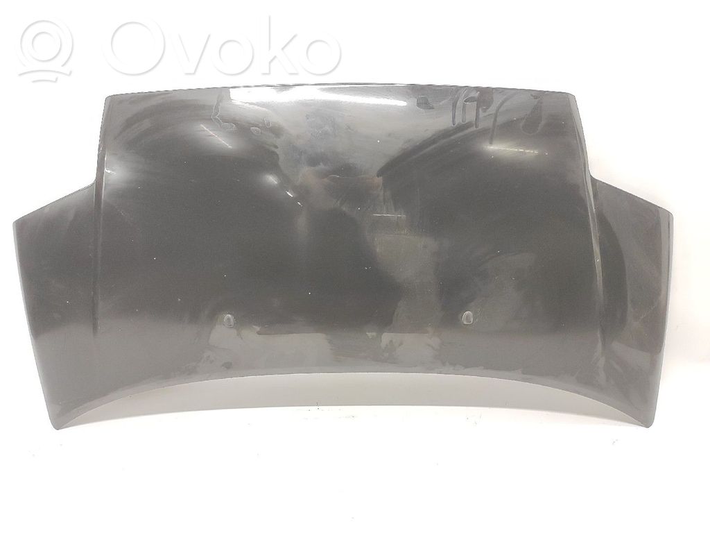 Motorhaube   7901K2,7901Q3