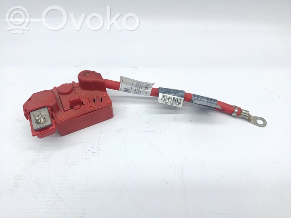 Positive wiring loom   6988973,913087902