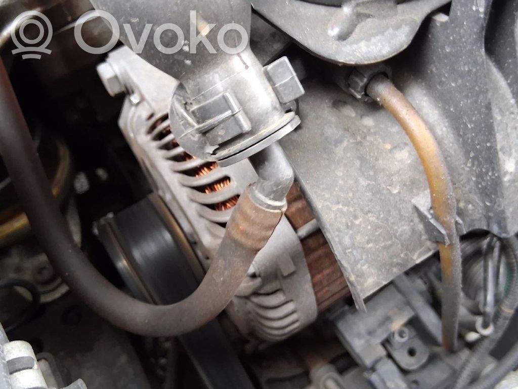 Generator/alternator   9654752880,00000005702G8,0000071732307,0000071733552,0000071784025,00005702AC,00005702AL,00005702C2,00005702E2,00005702E3,00005702K9,00005705AG,00005705AL,00005705AS,00005705EY,0009640668,0096463217,0096463218,0405250752,12317794970,12317806779,1638095180,1800A138,27060YV020,3140069K00,3140069K00000,3140073J00,405250752,5702,57020,570200,5702000,5702AC,5702AL,5702AR,5702C2,5702E0,5702E0C,5702E1,5702E2,5702E3,5702E3C,5702EO,5702EX,5702G8,5702K7,5702K9,57054F,57055H,57055J,57058G,5705AG,5705AL,5705AR,5705AS,5705ES,5705EW,5705EX,5705EY,5705G8,5705GC,5705JV,5705NF,5705NH,71716671,71719943,71723407,71732307,71733552,71748885,71749232,71783560,71783849,71783850,71783851,71784025,71784027,71786198,71786480,71786481,71786482,71794294,7794970,8200190121,9467560280,96217914,9621791480,9635342080,9639362380,96393964,9640088280,9640668,9640878780,9643621880,9644037180,9644103580,9644529680,9645907780,9645907880,9646049980,96460654,9646065480,9646065488,96463217,9646321780,9646321780A,96463218,9646321880,9646365480,9646476280,9646477580,9648477580,9650358580,9650582080,9661152980,9662731680,9665617780,9665735680,9665765680,K9467560280,K9621791480,K9644037180,K9644103580,K9646065480,K9646065488,K9646321780,K9646321880,K9650358580