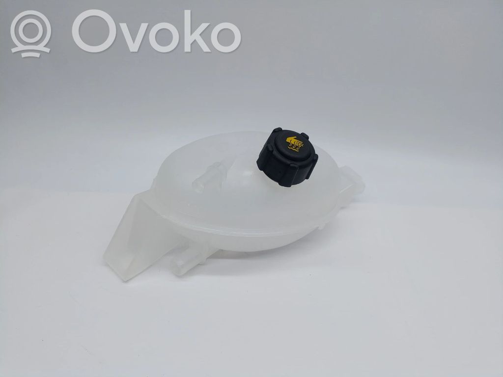 Renault Master III Coolant expansion tank/reservoir 