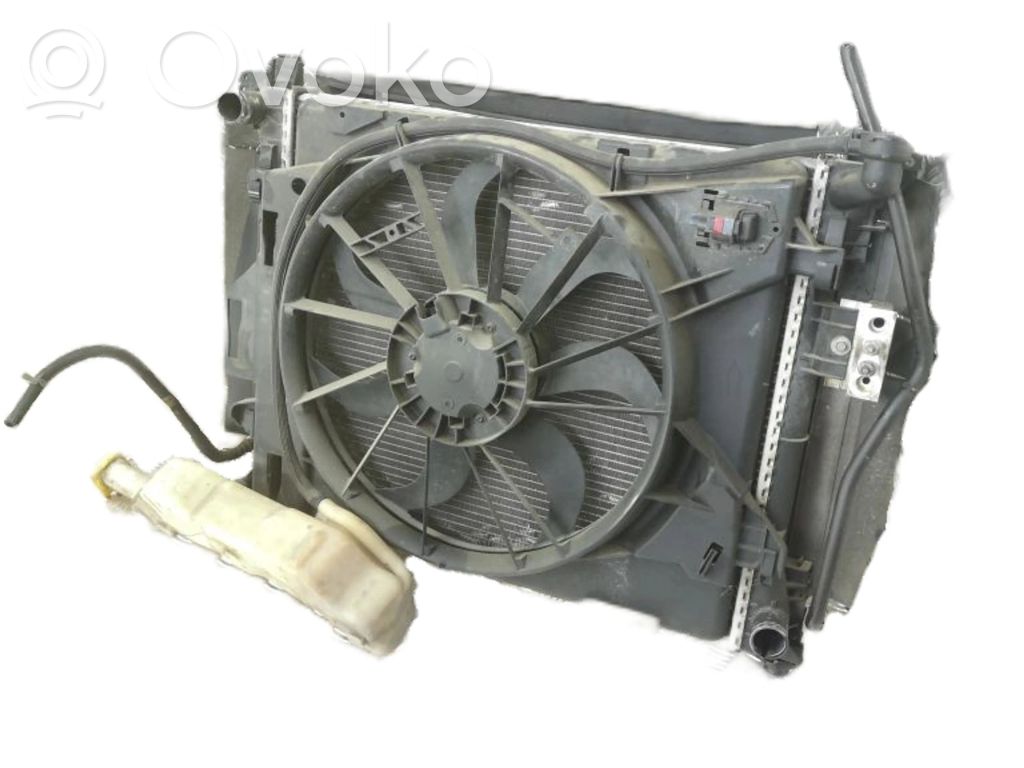 Dodge Grand Caravan Radiator set 