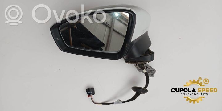 Volkswagen Tiguan Elektryczne lusterko boczne drzwi przednich 