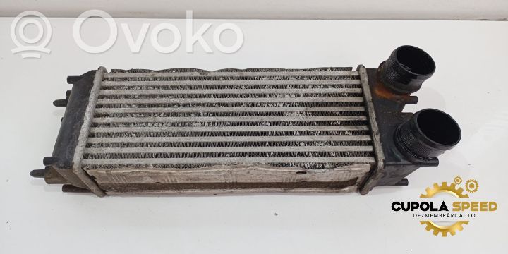 Intercooler radiator   AV219L440AC