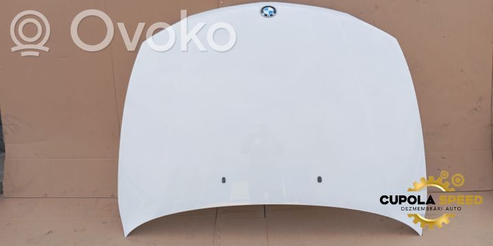 Engine bonnet/hood