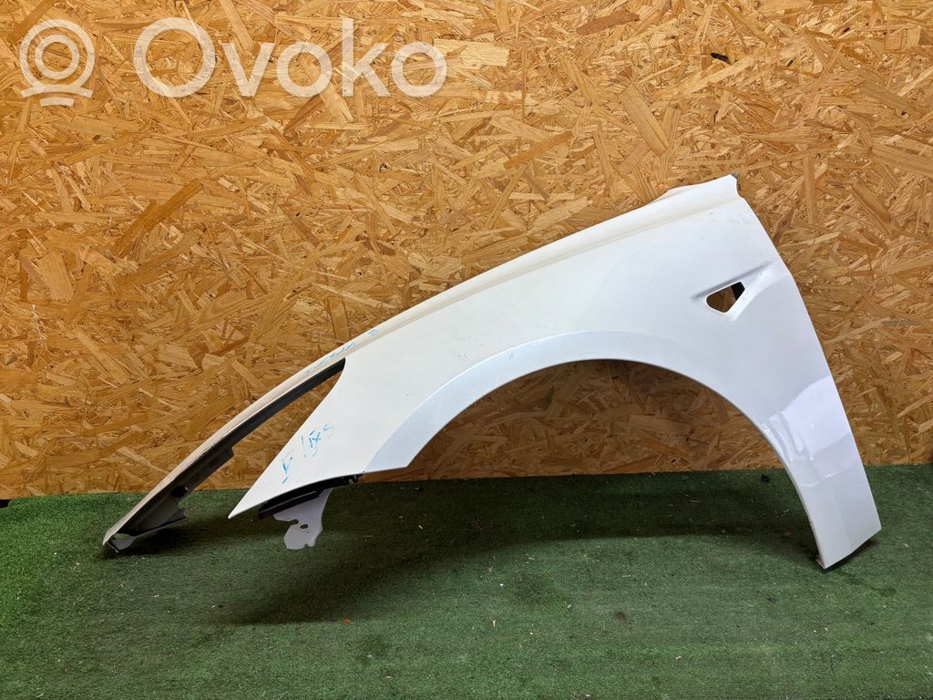 Tesla Model 3 Fender 