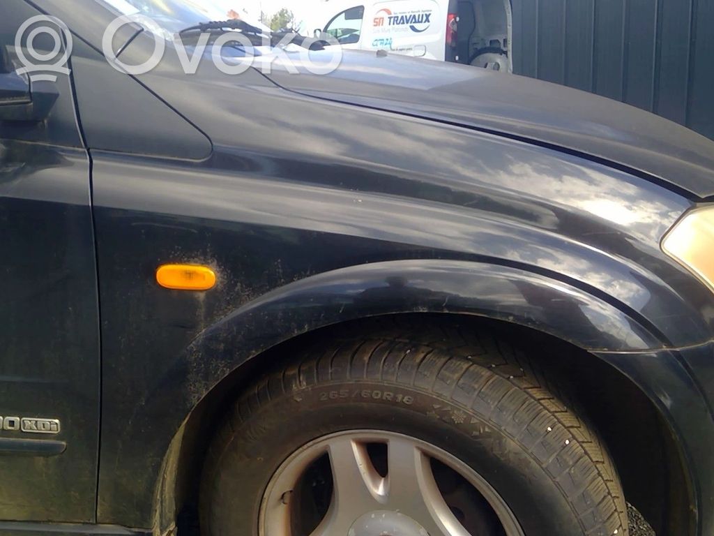 SsangYong Kyron Sparnas 