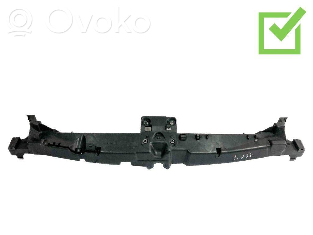 Peugeot 1007 Radiator support slam panel 
