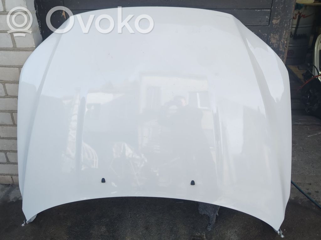 Engine bonnet/hood