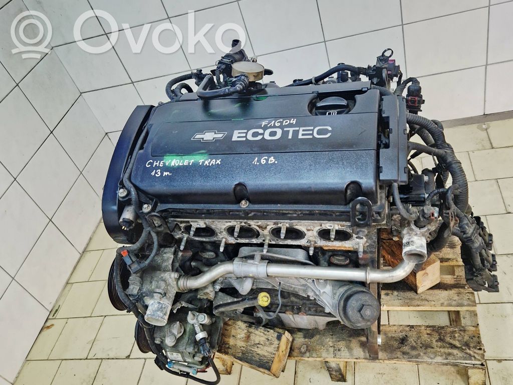 Motor   F16D4