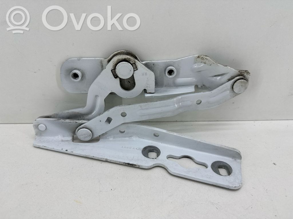 Ford Ecosport Konepellin saranat 