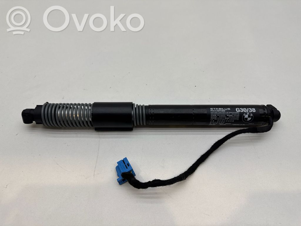 BMW 5 G30 G31 G38 Puntone del portellone posteriore 