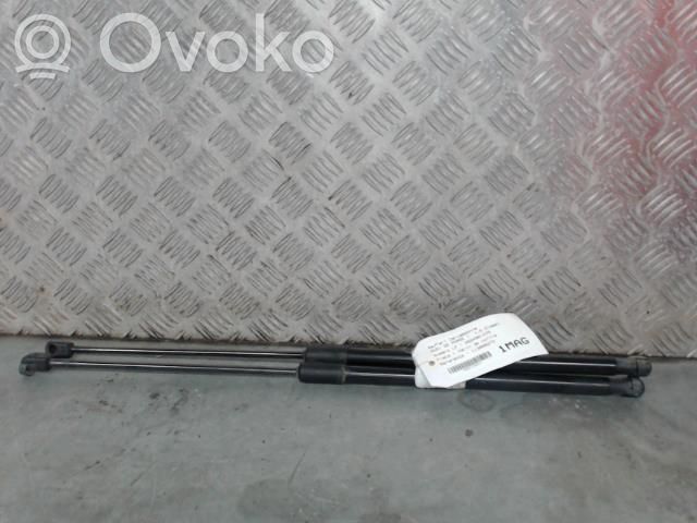 Audi Q2 - Tailgate/trunk strut/damper 