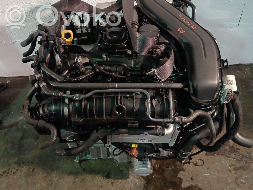 Variklis   05E100098P