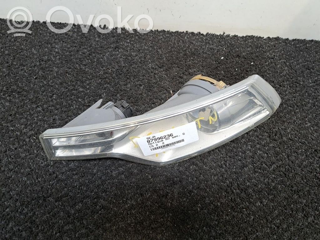 Citroen C5 Seitenblinker 