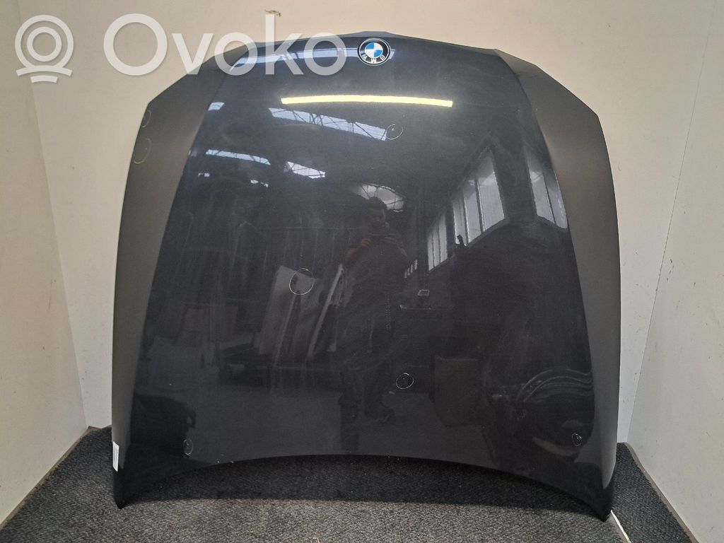 Capó/tapa del motor   41617168514
