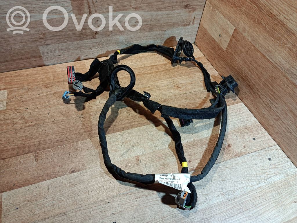 Cableado de puerta trasera   31313717,C01060100