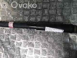 Aizmugurē amortizators   E6210BH01A,20200901,4627524,VDMS13