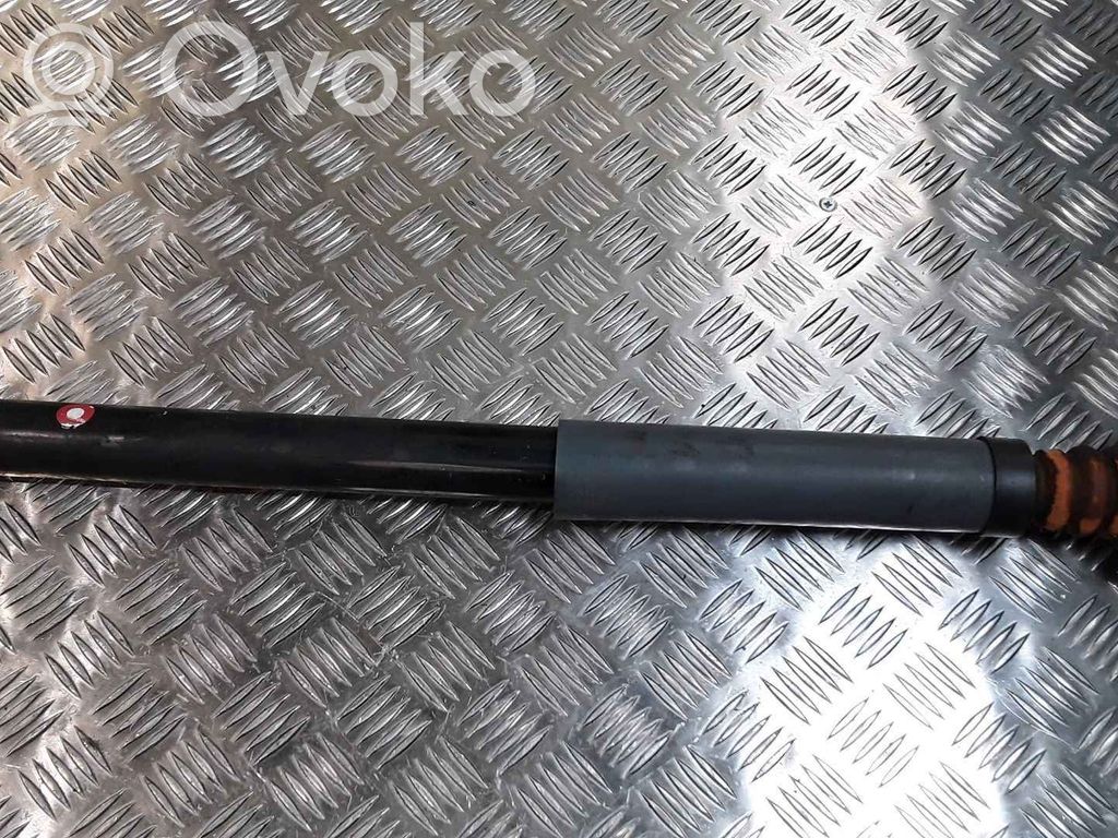 Ford Focus Aizmugurē amortizators 