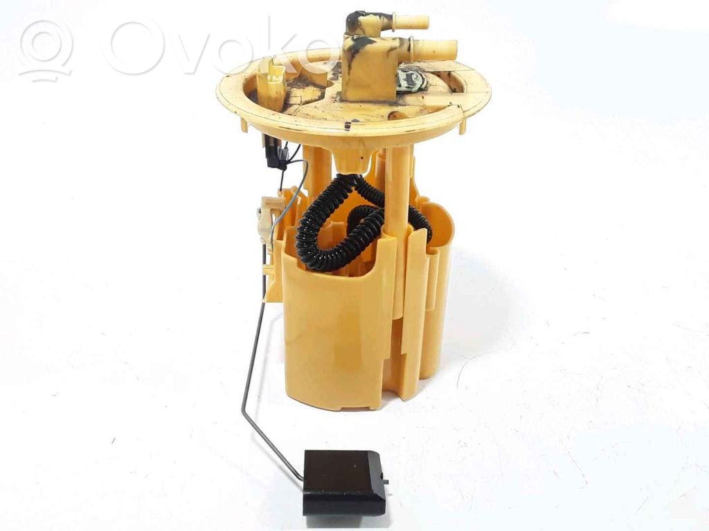 Citroen C3 In-tank fuel pump 