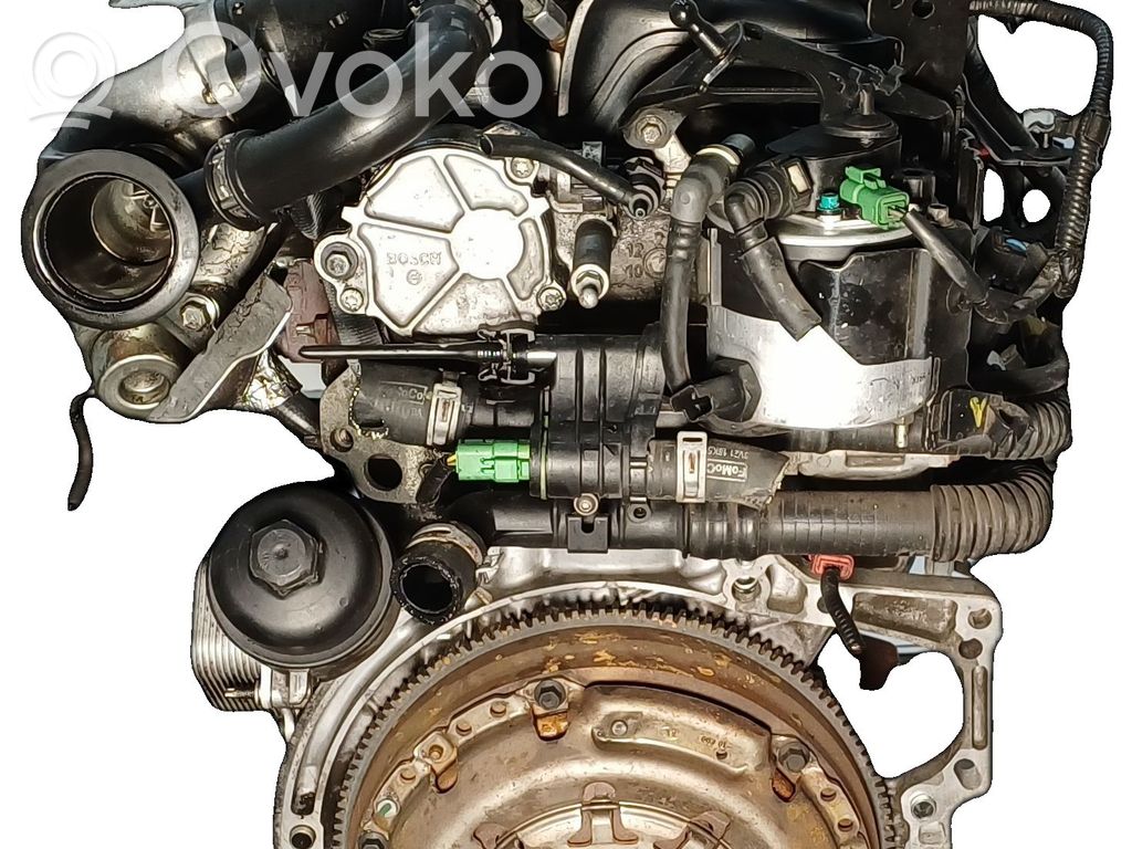 Ford Fiesta I Variklis 