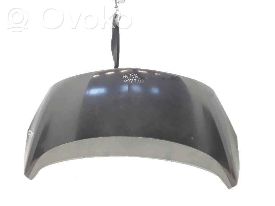 Capó/tapa del motor   95514648,20230575,4649646,VDMS13