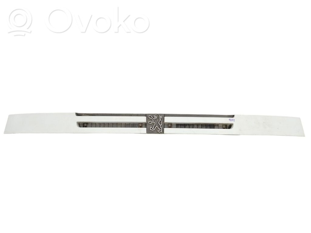 Peugeot Boxer Etusäleikkö 