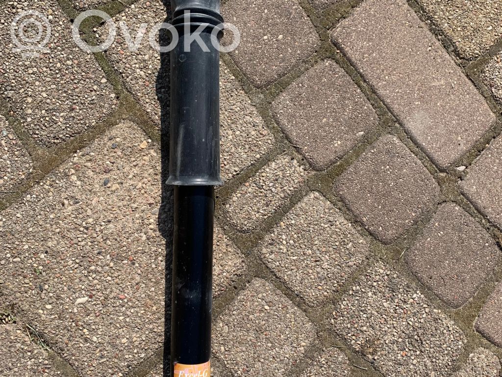 Citroen C4 I Takaiskunvaimennin 