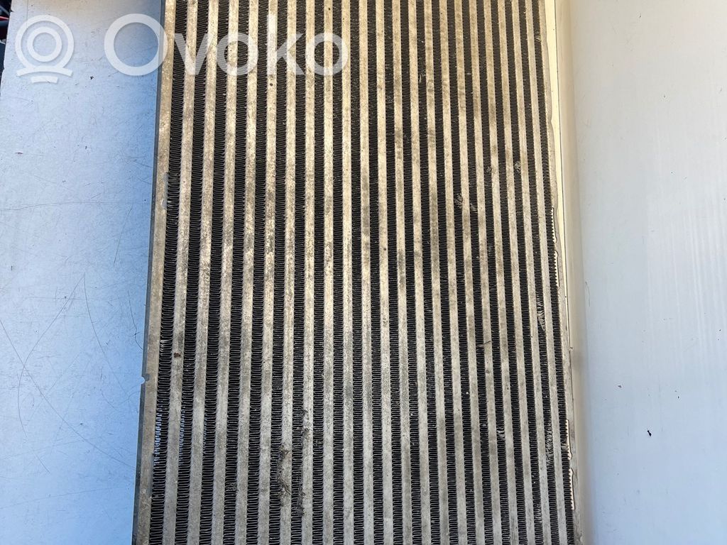 Interkūlerio radiatorius   13223395,WTP8784