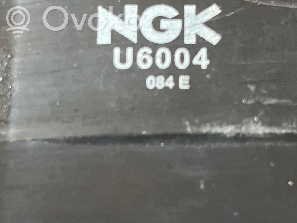 Citroen C4 I Augstsprieguma spole (aizdedzei) 