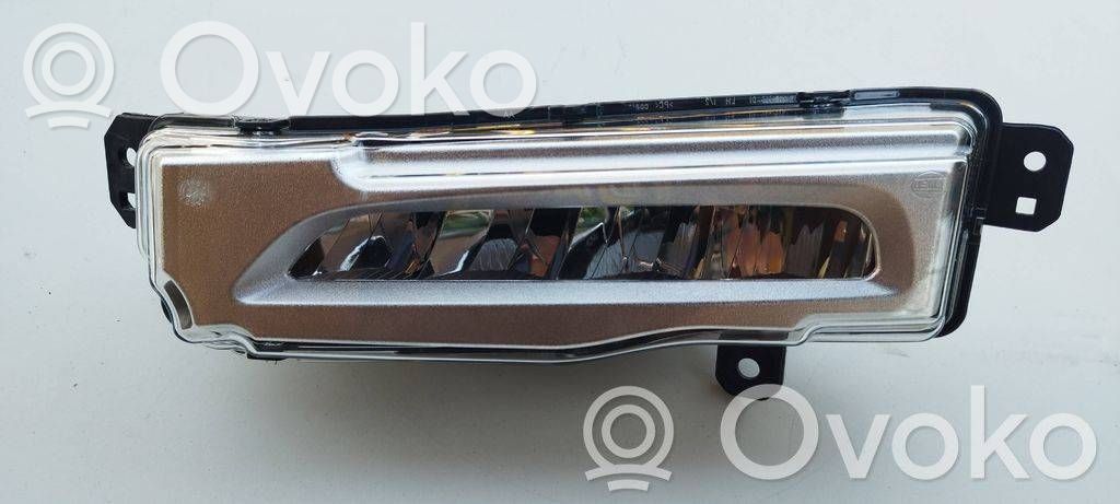 BMW X5 G05 Fendinebbia anteriore 