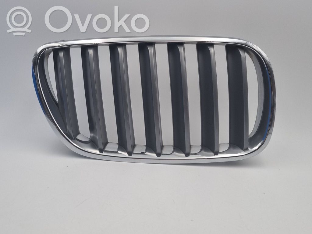Front grill   3420088,51113420088,22405910