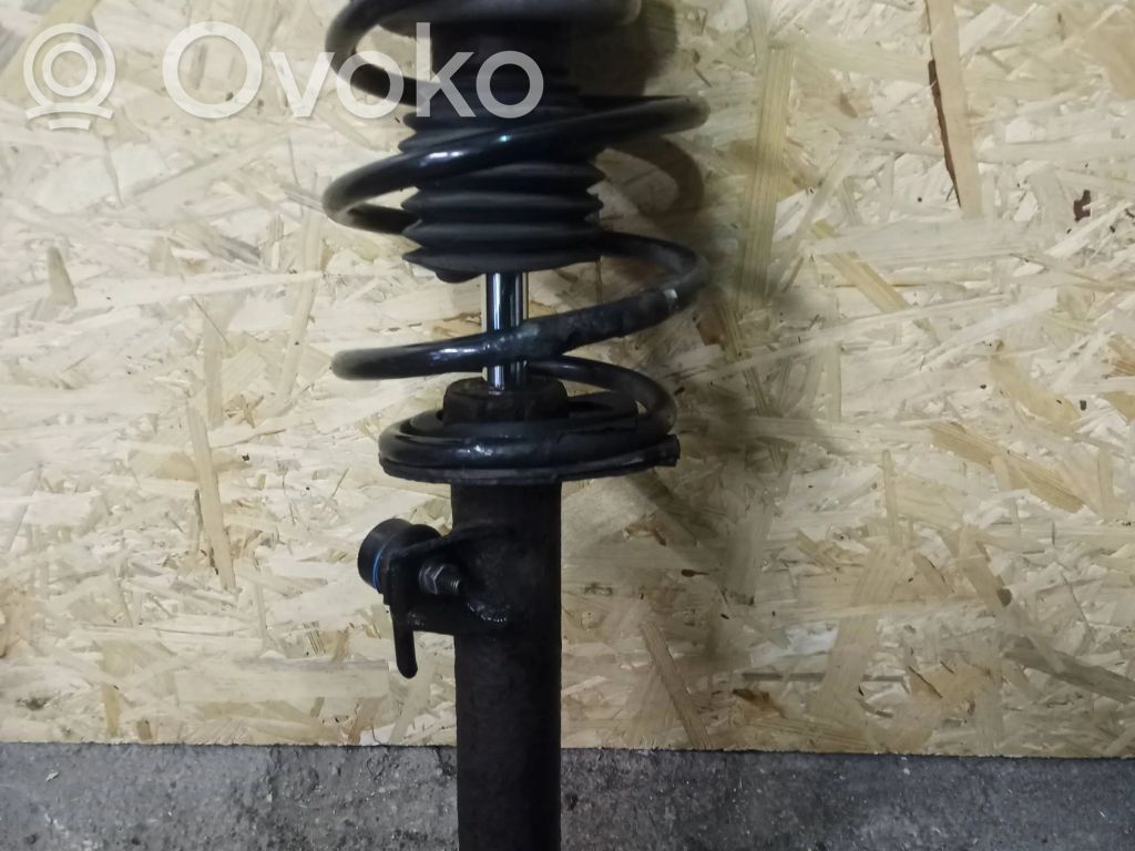 Front shock absorber with coil spring   31312282460,DR2282460021,1054131511