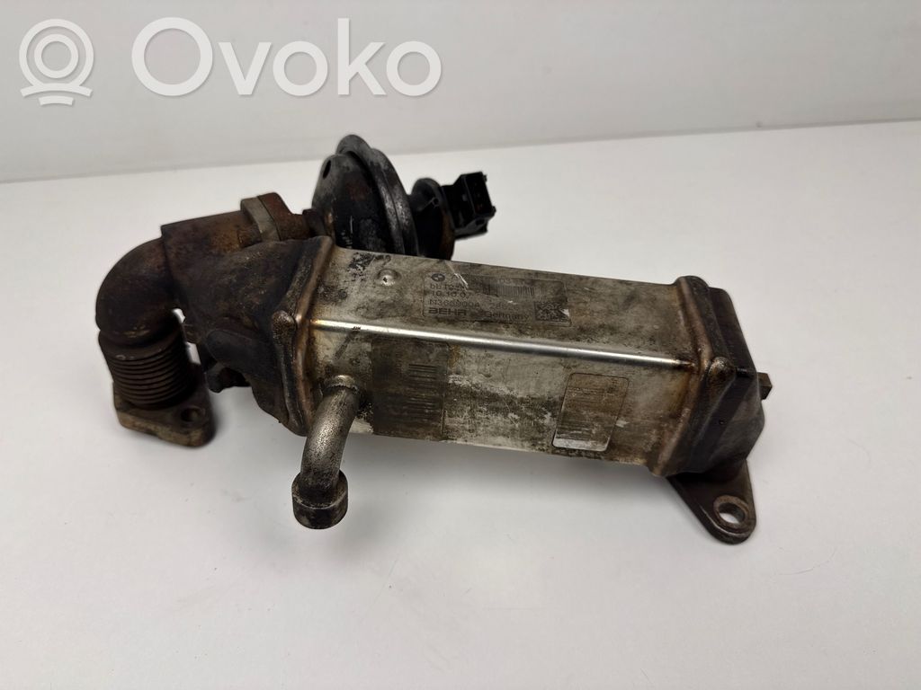 EGR aušintuvas   7805189,101007,28526,N3659004