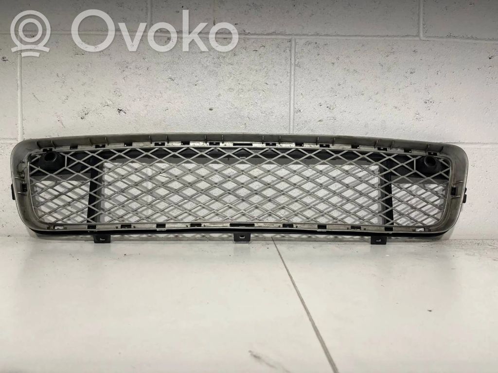 Front bumper lower grill   105034,5111105034