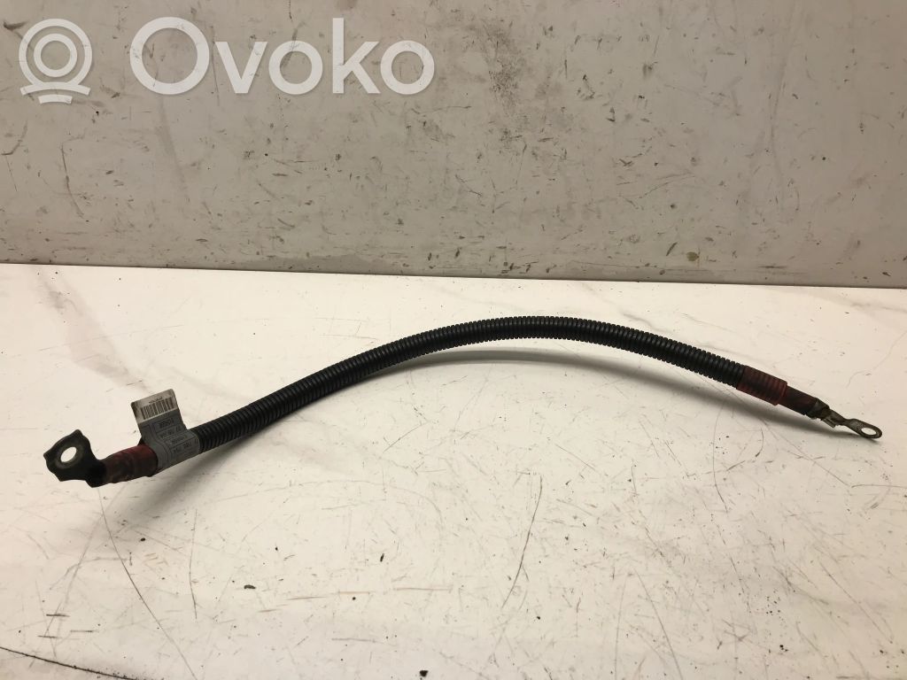 Cavo positivo (batteria)   7789755,EMB69R