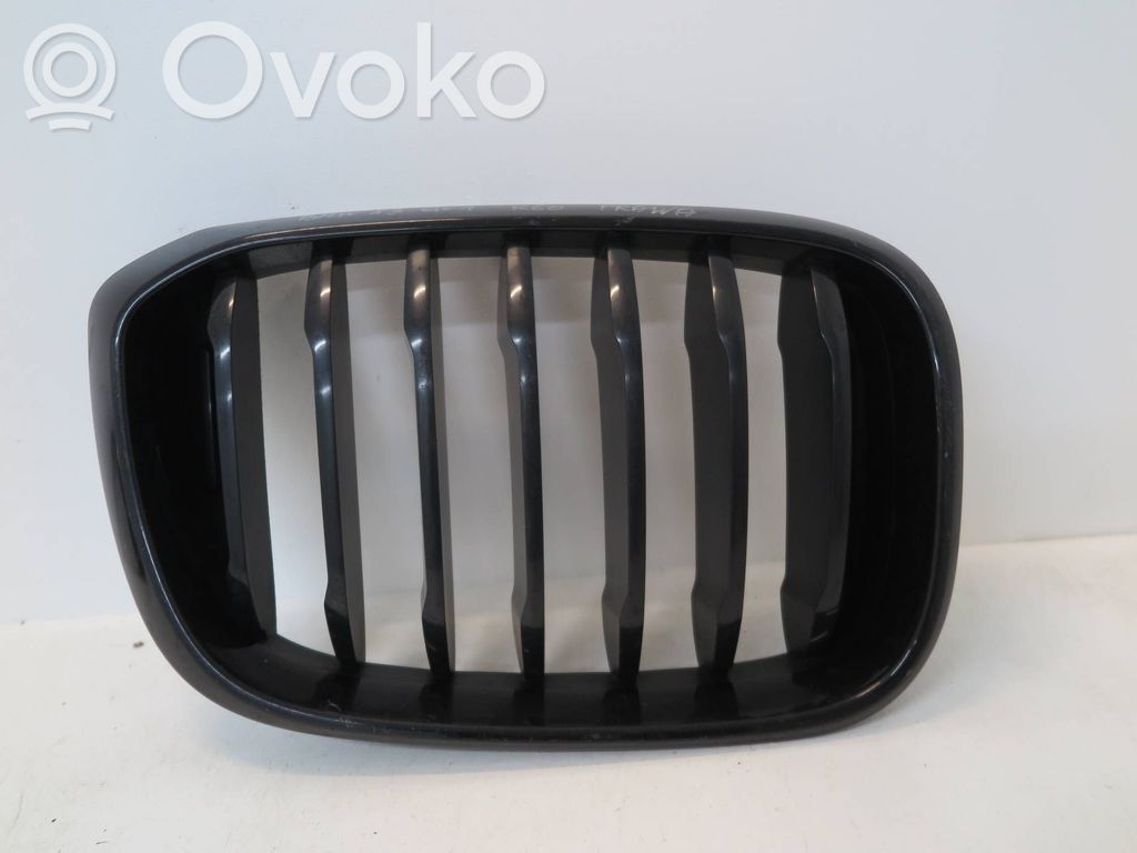 BMW X3 G01 Etusäleikkö 