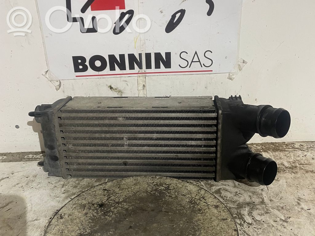 Citroen Berlingo Hayon/capotă portbagaj 