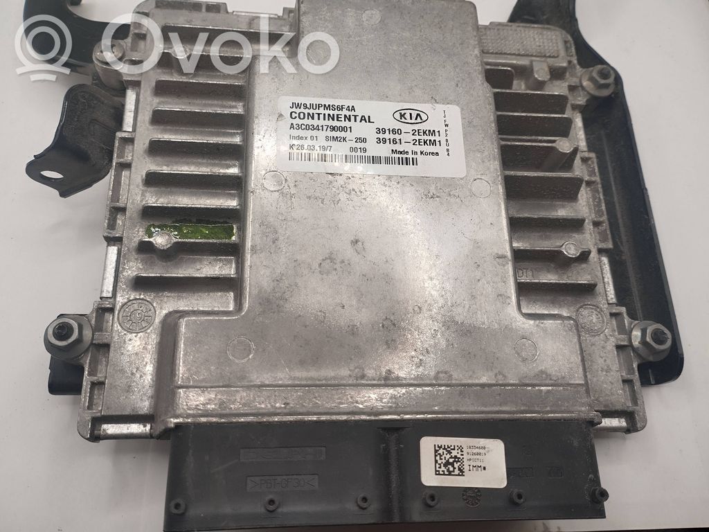Engine control unit/module   A3C0341790001,391602EKK1,391612EKK1