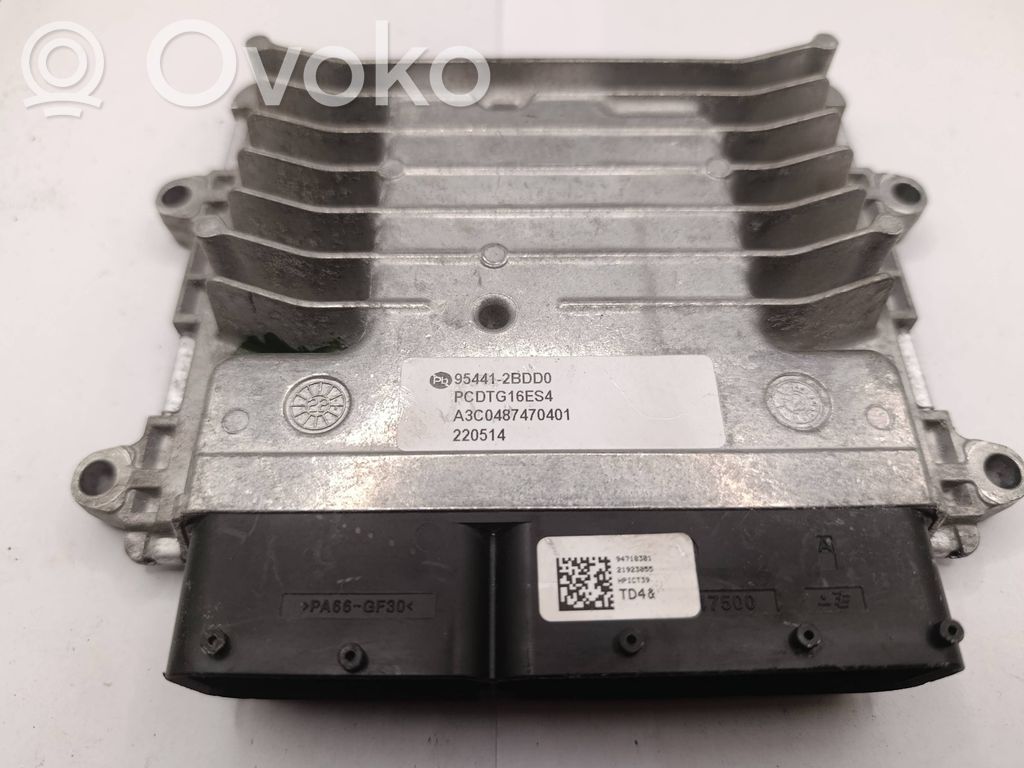 Engine control unit/module   954412BDD0,PCDTG16ES4,A3C0487470401