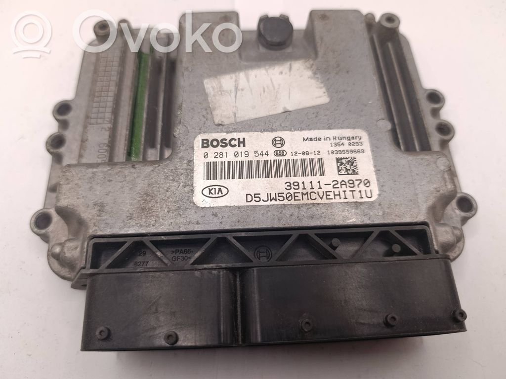 Engine control unit/module   0281019544,391112A970,1039S59669