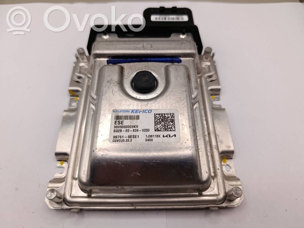 KIA Niro Other control units/modules 
