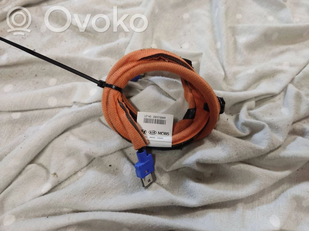 KIA Niro Pantalla/monitor/visor 