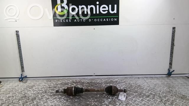 Front driveshaft   820061840