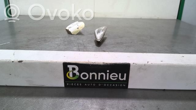 BMW X6 E71 Front indicator light 