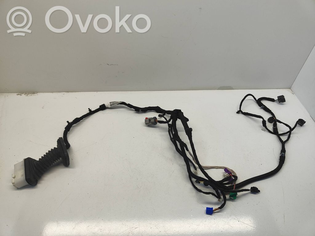 Dodge Challenger Front door wiring loom 