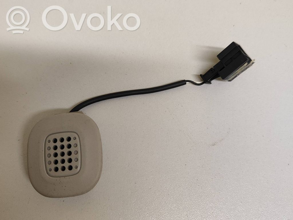 Chrysler Pacifica Microphone (bluetooth/phone) 