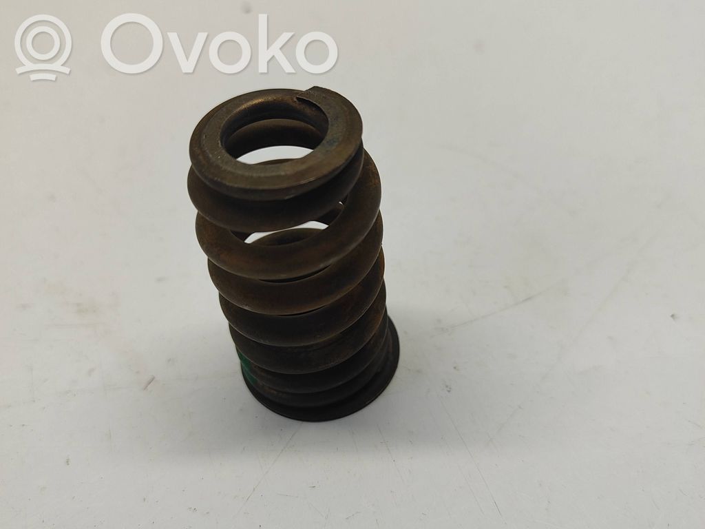 Dodge RAM Valve spring 